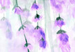 Fototapeet Akvarell lavendel hind ja info | Fototapeedid | kaup24.ee