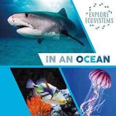 Explore Ecosystems: In an Ocean Illustrated edition цена и информация | Книги для подростков и молодежи | kaup24.ee