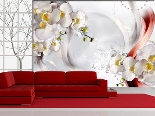 Фотообои с инструментом и клеем - Белые орхидеи, 350x256 см цена и информация | Фотообои | kaup24.ee
