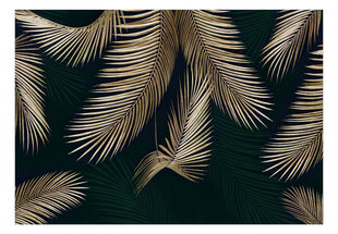 Фотообои с инструментом и клеем - Экзотическая пальма, 350x256 см цена и информация | Фотообои | kaup24.ee