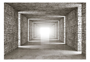 Фотообои с инструментом и клеем - 3d каменный туннель, 350x256 см цена и информация | Фотообои | kaup24.ee