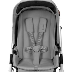 Спортивная коляска Cybex Talos S Lux, silver Lava Grey цена и информация | Коляски | kaup24.ee