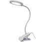 Klambriga LED-laualamp G.LUX GD-UNO-C white цена и информация | Laualambid | kaup24.ee