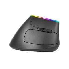 Беспроводная мышь Delux M618C 2.4G 1600DPI RGB ABS цена и информация | Мыши | kaup24.ee