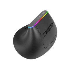 Delux M618C RGB hind ja info | Hiired | kaup24.ee