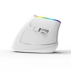 Беспроводная мышь Delux M618C 2.4G 1600DPI RGB ABS цена и информация | Мыши | kaup24.ee