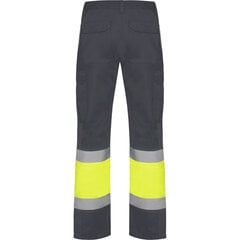 Püksid meeste, hästi nähtavad Naos, hall/kollane hind ja info | Tööriided | kaup24.ee
