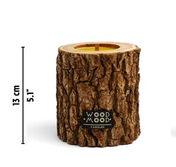 Küünal WoodMood Rocky Compact Coniferous 13cm, korduvkasutatav цена и информация | Подсвечники, свечи | kaup24.ee