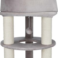 Kraapimispost-maja Trixie Lavinia Scratching Post, 138 cm hind ja info | Kraapimispuud | kaup24.ee