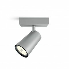 LED laelamp Philips Paisley Metall Alumiinium (10,2 x 10,2 x 9,2 cm) цена и информация | Потолочные светильники | kaup24.ee