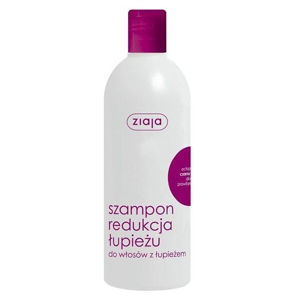 Kõõmavastane šampoon Ziaja 400 ml цена и информация | Šampoonid | kaup24.ee