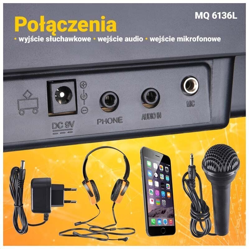 Süntesaatorikomplekt lastele mikrofoniga MQ 6136L hind ja info | Klahvpillid | kaup24.ee