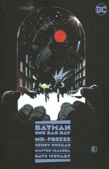 Batman: One Bad Day: Mr. Freeze цена и информация | Фантастика, фэнтези | kaup24.ee