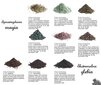 La Rosa mineraalne lauvärv, nr.92 CARBON, 3 g цена и информация | Ripsmetušid, lauvärvid, silmapliiatsid, seerumid | kaup24.ee