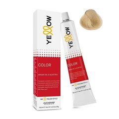 Juuksevärv Alfaparf Yellow Permanent Coloring Cream Nr. 11.00 Super High Lift Natural Blonde, 100 ml цена и информация | Краска для волос | kaup24.ee