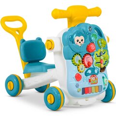 Ricokids 4-in-1 treeninglaud, roheline hind ja info | Imikute mänguasjad | kaup24.ee