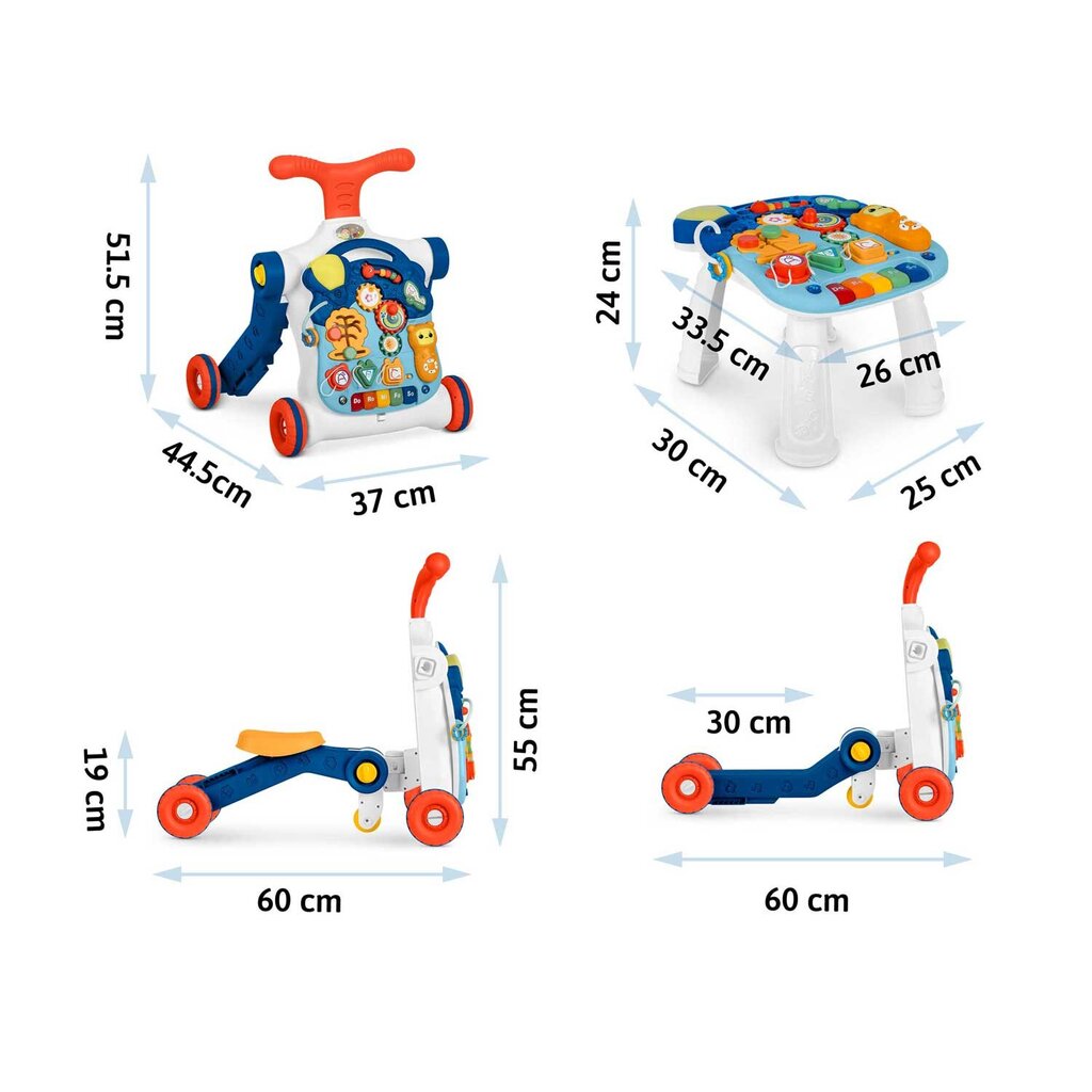 Ricokids 4-in-1 treeninglaud, sinine цена и информация | Arendavad mänguasjad | kaup24.ee