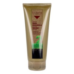 Elustav šampoon Biokera Arganology Salerm Argaaniõli (200 ml) hind ja info | Šampoonid | kaup24.ee