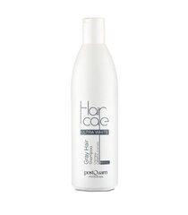 Šampoon Postquam Haircare Ultra White Hallid juuksed (250 ml) hind ja info | Šampoonid | kaup24.ee