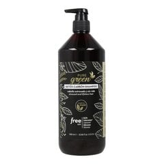 Šampoon Pure Green Detox Carbon (1000 ml) hind ja info | Šampoonid | kaup24.ee