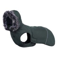Talvejope koertele Rukka Frostbiter, erinevad suurused, roheline цена и информация | Одежда для собак | kaup24.ee