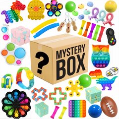 Salakarp Mystery Box, mänguasjad 10 tk цена и информация | Развивающие игрушки | kaup24.ee