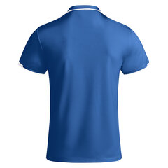 Футболка поло мужская TAMIL  синяя цена и информация | Мужские футболки | kaup24.ee