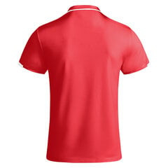 Футболка-поло для мужчин Tamil, красная цена и информация | Мужские футболки | kaup24.ee