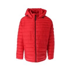 Мужская куртка Michael Kors, красная цена и информация | Мужские куртки | kaup24.ee