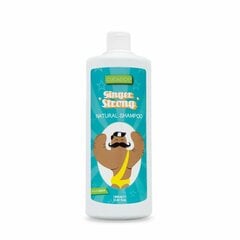 Šampoon Ginger Strong Valquer (1000 ml) hind ja info | Šampoonid | kaup24.ee