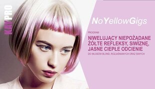 Kollaseid toone neutraliseeriv šampoon värvitud juustele KayPro AntiYellowGigs, 350 ml цена и информация | Шампуни | kaup24.ee