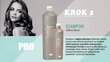Rahustav peanaha mask valge saviga Kaypro Purage, 1000 ml цена и информация | Maskid, õlid, seerumid | kaup24.ee