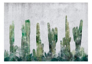 Fototapeedid Kaktuse sein hind ja info | Fototapeedid | kaup24.ee