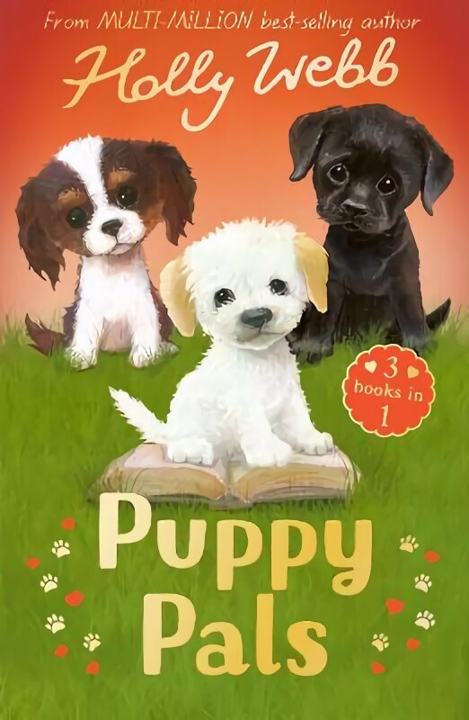 Puppy Pals: The Story Puppy, The Seaside Puppy, Monty the Sad Puppy hind ja info | Noortekirjandus | kaup24.ee