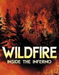 Wildfire, Inside the Inferno hind ja info | Noortekirjandus | kaup24.ee