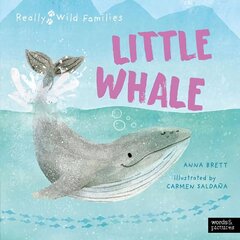 Little Whale: A Day in the Life of a Whale Calf цена и информация | Книги для подростков и молодежи | kaup24.ee