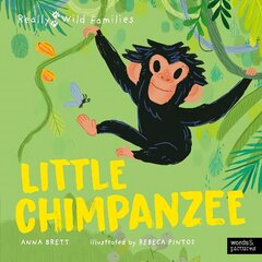 Little Chimpanzee hind ja info | Noortekirjandus | kaup24.ee