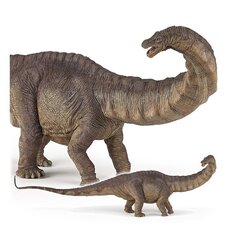 Фигурка Papo апатозавр цена и информация | Развивающий мелкую моторику - кинетический песок KeyCraft NV215 (80 г) детям от 3+ лет, бежевый | kaup24.ee