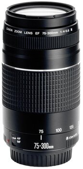 Canon EF 75-300mm f/4-5.6 III цена и информация | Объективы | kaup24.ee