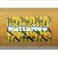 Tool RattaNeo Coral k45, mesi hind ja info | Söögilaua toolid, köögitoolid | kaup24.ee