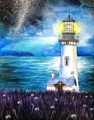 Teemantmaalid TM Värvikas - LG060e Lighthouse in the Night 40x50 cm цена и информация | Алмазная мозаика | kaup24.ee