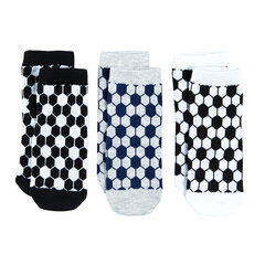 Носки для мальчика Cool Club CHB2520779-00, разные цвета, 3 шт. цена и информация | Носки, колготки для мальчиков | kaup24.ee