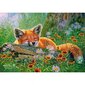 Pusle rebasega Castorland Foxy Dreams, 500 tk. hind ja info | Pusled | kaup24.ee