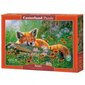 Pusle rebasega Castorland Foxy Dreams, 500 tk. hind ja info | Pusled | kaup24.ee