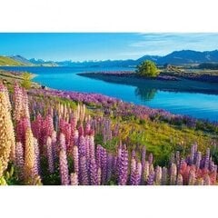 Pusle Castorland Lake Tekapo New Zealand, 500 tk. hind ja info | Pusled | kaup24.ee