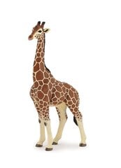 Фигурка Papo жирафа цена и информация | Развивающие игрушки | kaup24.ee
