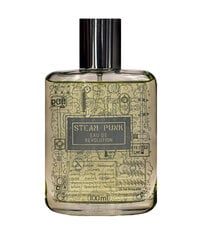 Pan Drwal  - Steam Punk Eau de Revolution - Туалетная вода 100ml цена и информация | Мужские духи | kaup24.ee