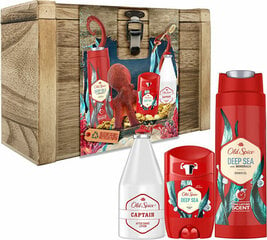 Kinkekomplekt Old Spice Deep Sea Treasure Chest hind ja info | Dušigeelid, õlid | kaup24.ee