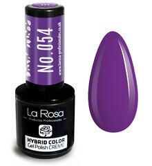 Hübriidlakk La Rosa 054 Violet, 9 ml цена и информация | Лаки для ногтей, укрепители для ногтей | kaup24.ee