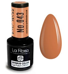 Hübriidlakk La Rosa 043 Dark Beige, 9 ml hind ja info | Küünelakid, küünetugevdajad | kaup24.ee